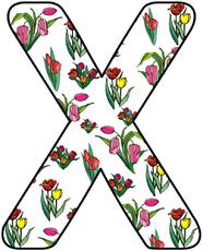 Tulpen-Buchstabe-X.jpg